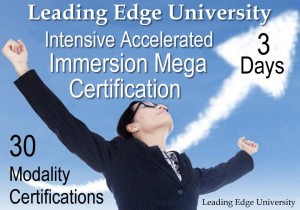 Intensive Accelerated Immersion Mega Certification Leading Edge University